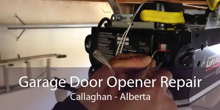 Garage Door Opener Repair Callaghan - Alberta