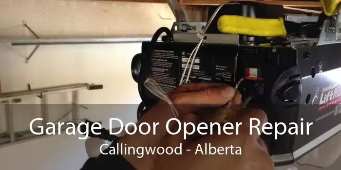 Garage Door Opener Repair Callingwood - Alberta