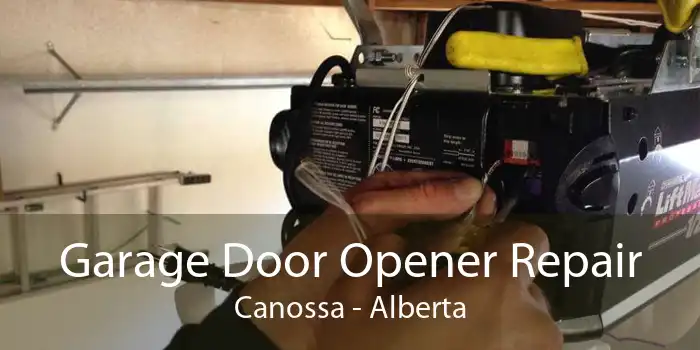 Garage Door Opener Repair Canossa - Alberta