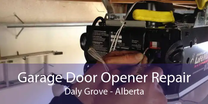 Garage Door Opener Repair Daly Grove - Alberta