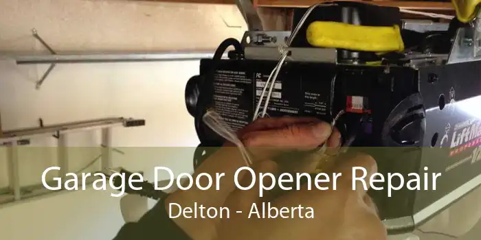 Garage Door Opener Repair Delton - Alberta