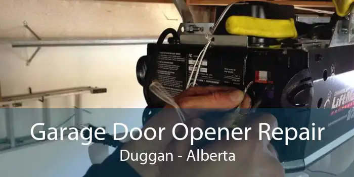 Garage Door Opener Repair Duggan - Alberta