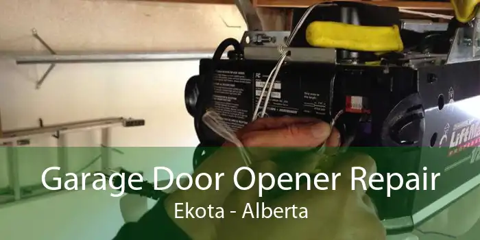 Garage Door Opener Repair Ekota - Alberta