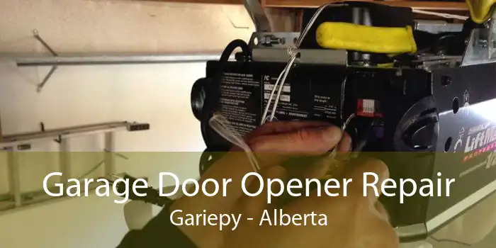 Garage Door Opener Repair Gariepy - Alberta