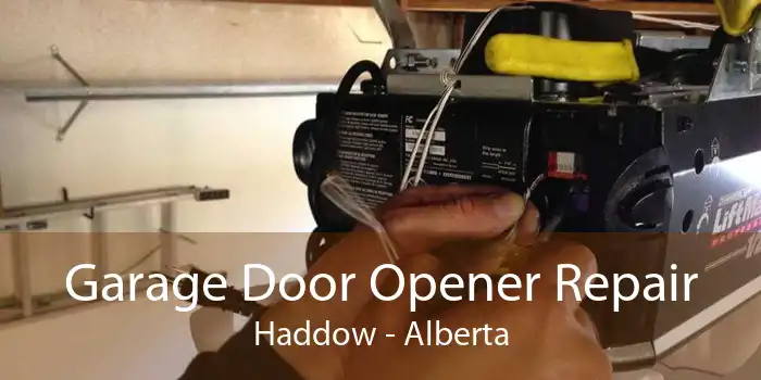 Garage Door Opener Repair Haddow - Alberta