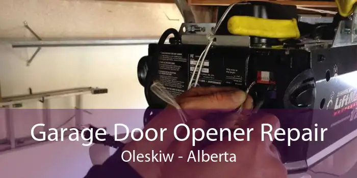 Garage Door Opener Repair Oleskiw - Alberta