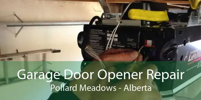 Garage Door Opener Repair Pollard Meadows - Alberta