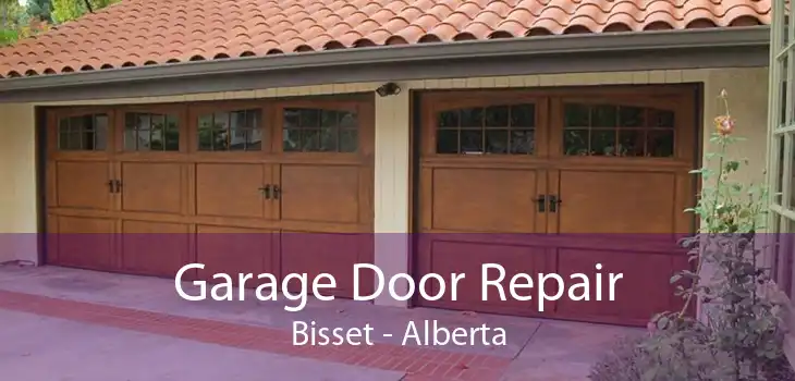 Garage Door Repair Bisset - Alberta