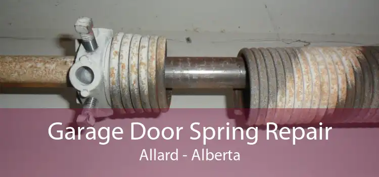 Garage Door Spring Repair Allard - Alberta