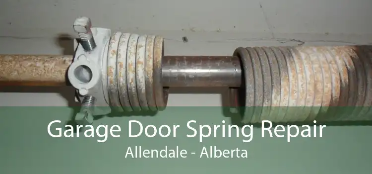 Garage Door Spring Repair Allendale - Alberta