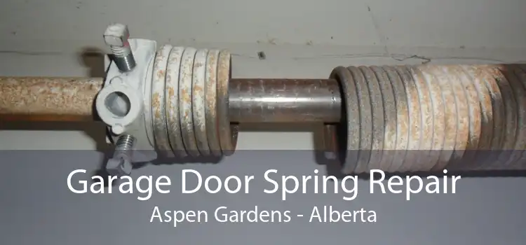 Garage Door Spring Repair Aspen Gardens - Alberta