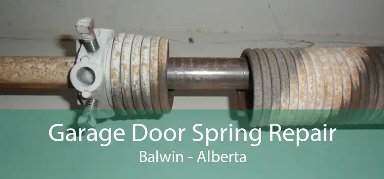 Garage Door Spring Repair Balwin - Alberta