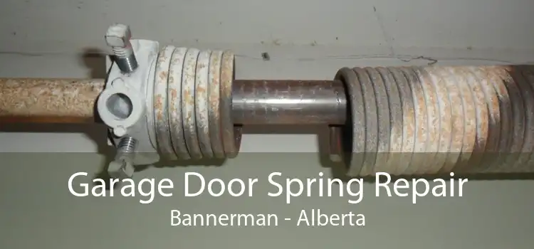 Garage Door Spring Repair Bannerman - Alberta