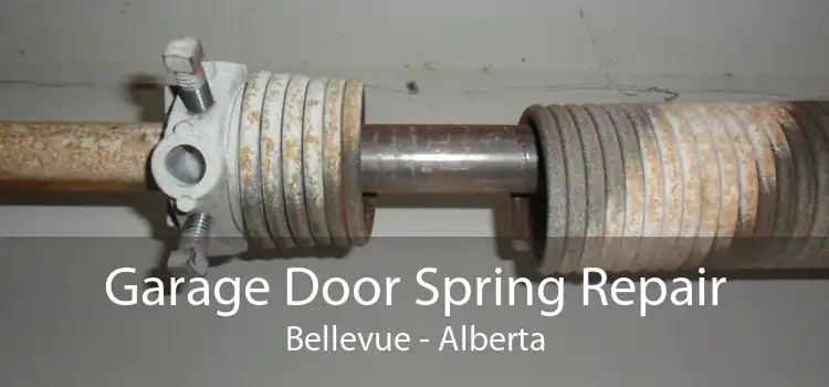 Garage Door Spring Repair Bellevue - Alberta