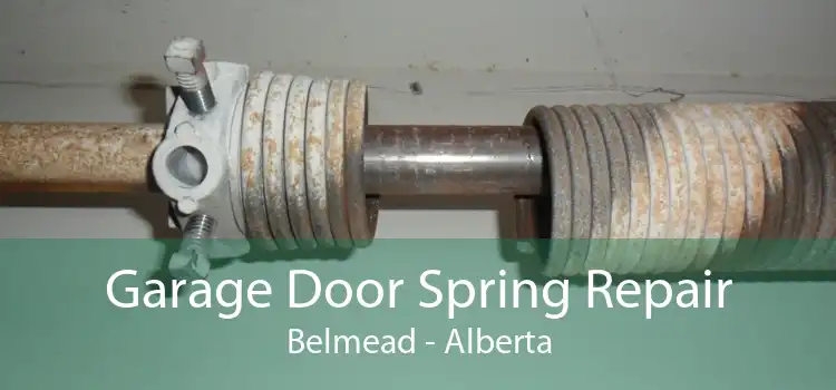 Garage Door Spring Repair Belmead - Alberta