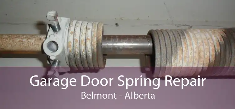 Garage Door Spring Repair Belmont - Alberta