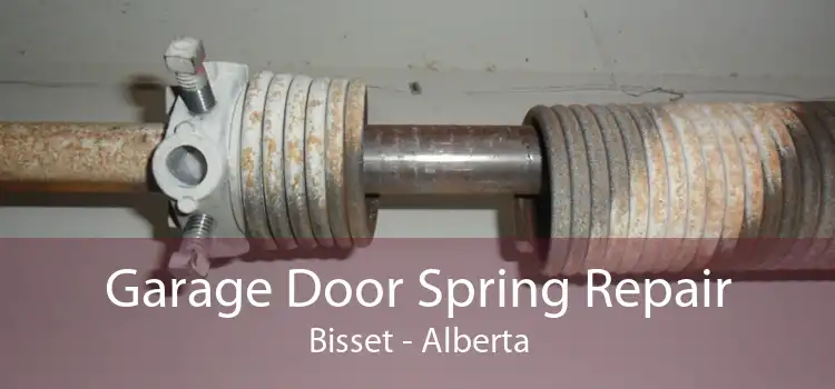 Garage Door Spring Repair Bisset - Alberta