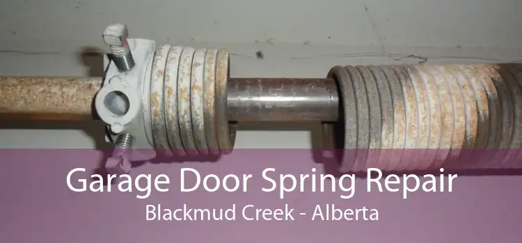 Garage Door Spring Repair Blackmud Creek - Alberta