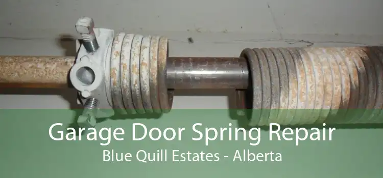 Garage Door Spring Repair Blue Quill Estates - Alberta