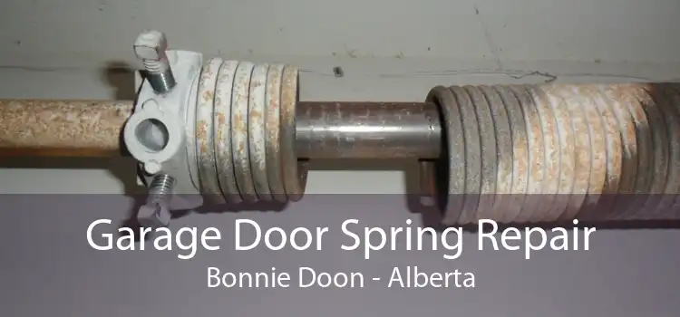 Garage Door Spring Repair Bonnie Doon - Alberta