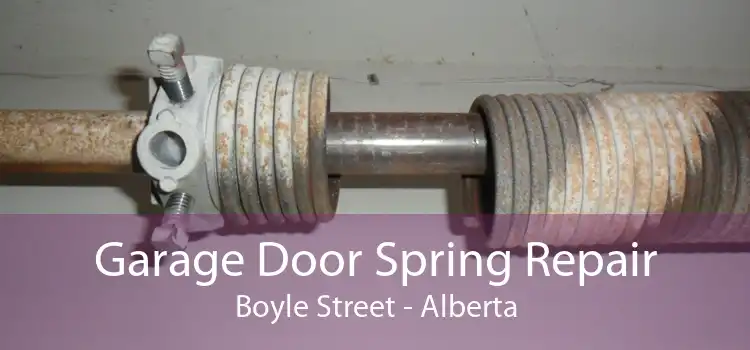 Garage Door Spring Repair Boyle Street - Alberta