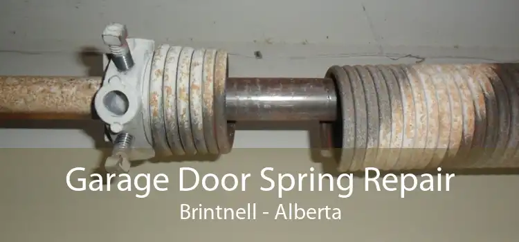 Garage Door Spring Repair Brintnell - Alberta