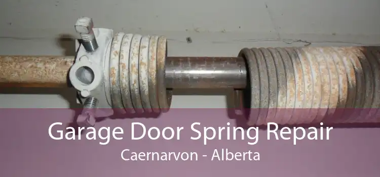 Garage Door Spring Repair Caernarvon - Alberta