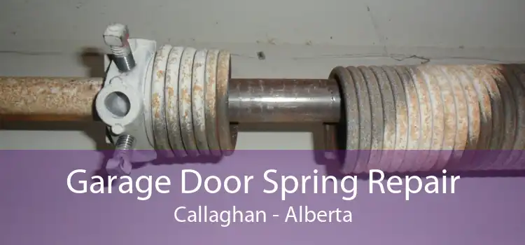 Garage Door Spring Repair Callaghan - Alberta