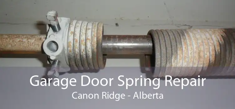 Garage Door Spring Repair Canon Ridge - Alberta