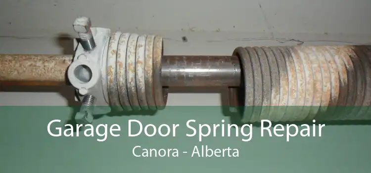 Garage Door Spring Repair Canora - Alberta