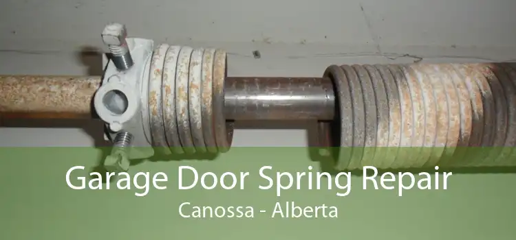 Garage Door Spring Repair Canossa - Alberta