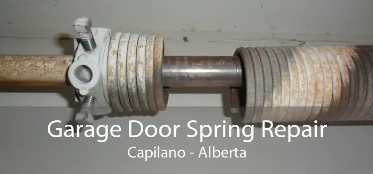 Garage Door Spring Repair Capilano - Alberta