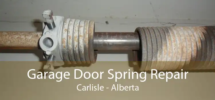 Garage Door Spring Repair Carlisle - Alberta