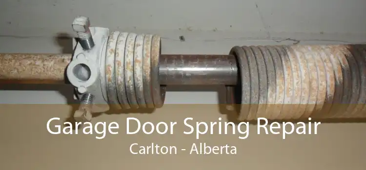 Garage Door Spring Repair Carlton - Alberta