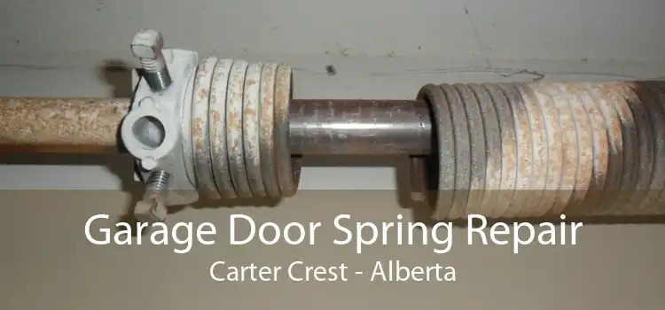 Garage Door Spring Repair Carter Crest - Alberta