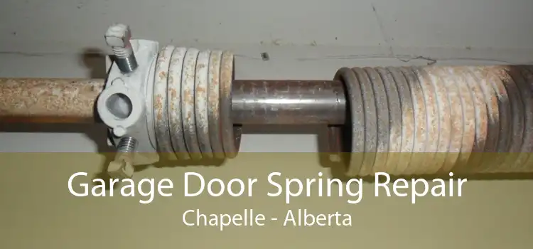 Garage Door Spring Repair Chapelle - Alberta