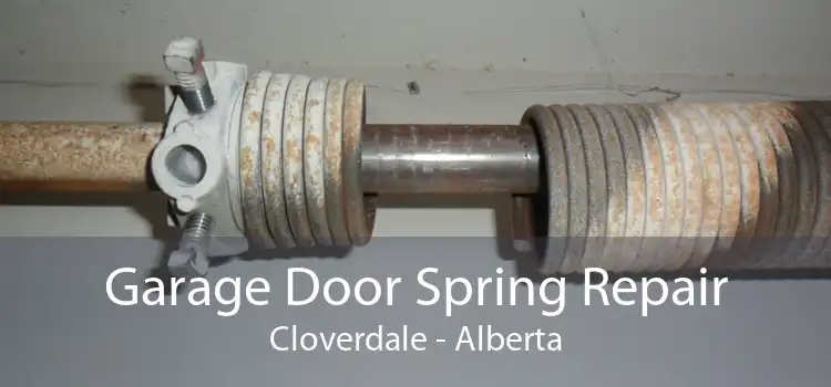 Garage Door Spring Repair Cloverdale - Alberta