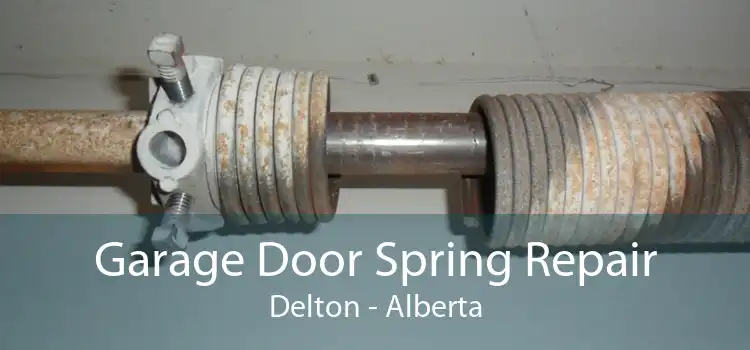 Garage Door Spring Repair Delton - Alberta