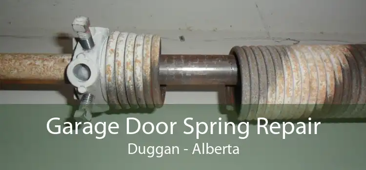 Garage Door Spring Repair Duggan - Alberta