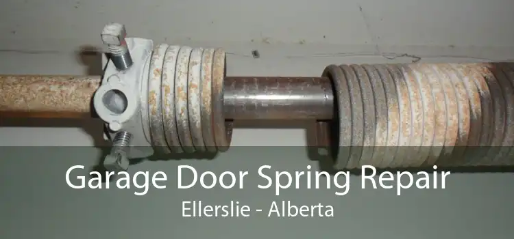 Garage Door Spring Repair Ellerslie - Alberta