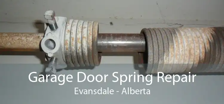 Garage Door Spring Repair Evansdale - Alberta