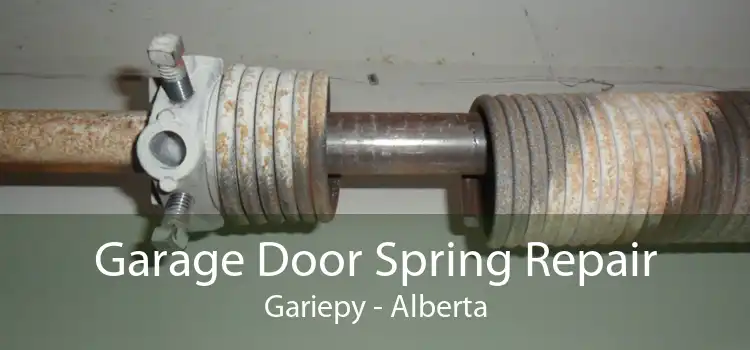 Garage Door Spring Repair Gariepy - Alberta