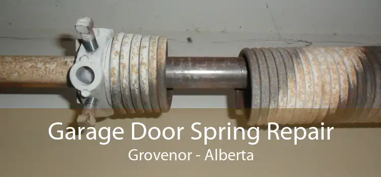 Garage Door Spring Repair Grovenor - Alberta