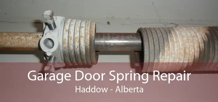 Garage Door Spring Repair Haddow - Alberta