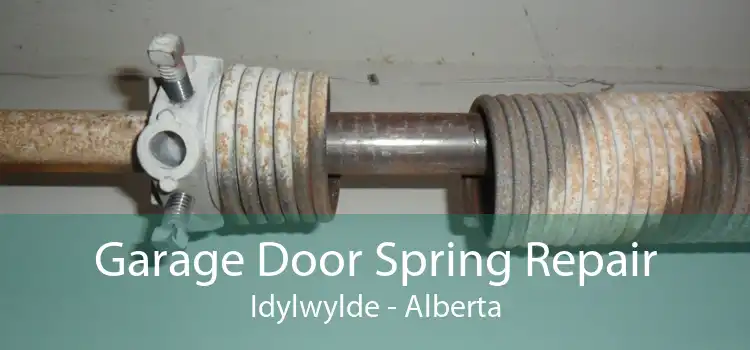 Garage Door Spring Repair Idylwylde - Alberta