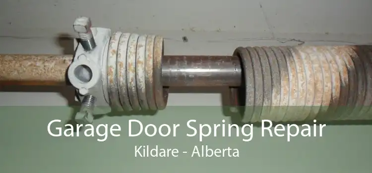 Garage Door Spring Repair Kildare - Alberta