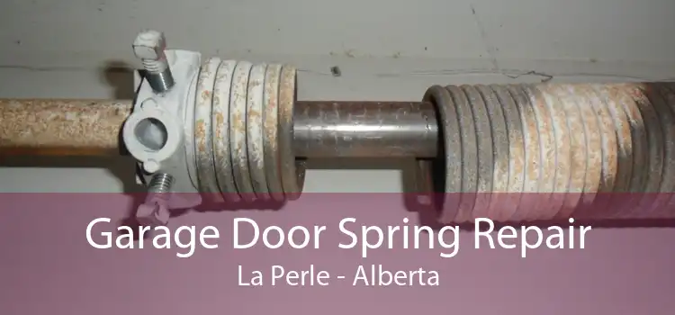 Garage Door Spring Repair La Perle - Alberta