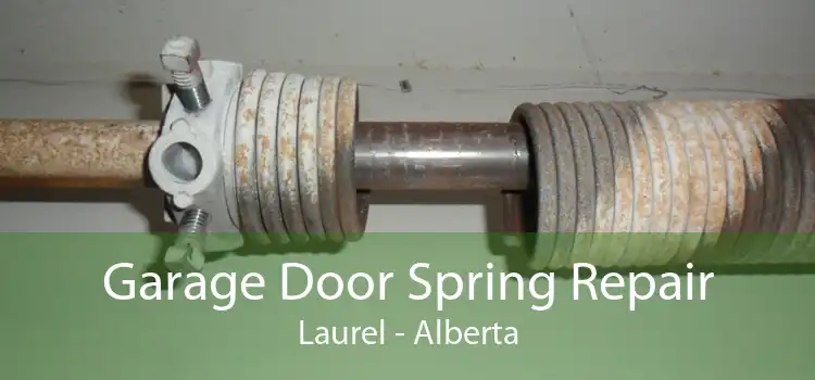 Garage Door Spring Repair Laurel - Alberta