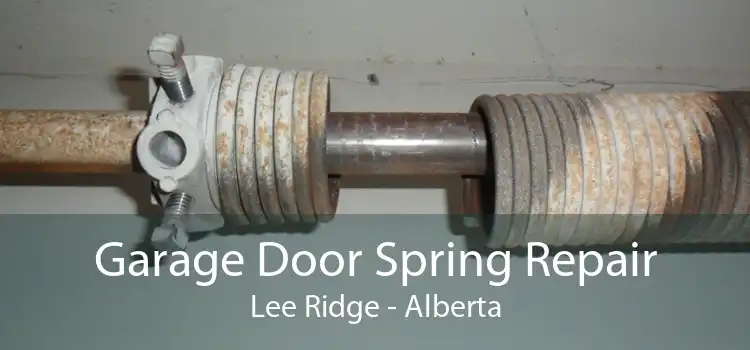 Garage Door Spring Repair Lee Ridge - Alberta