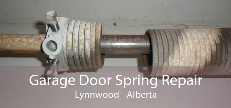 Garage Door Spring Repair Lynnwood - Alberta